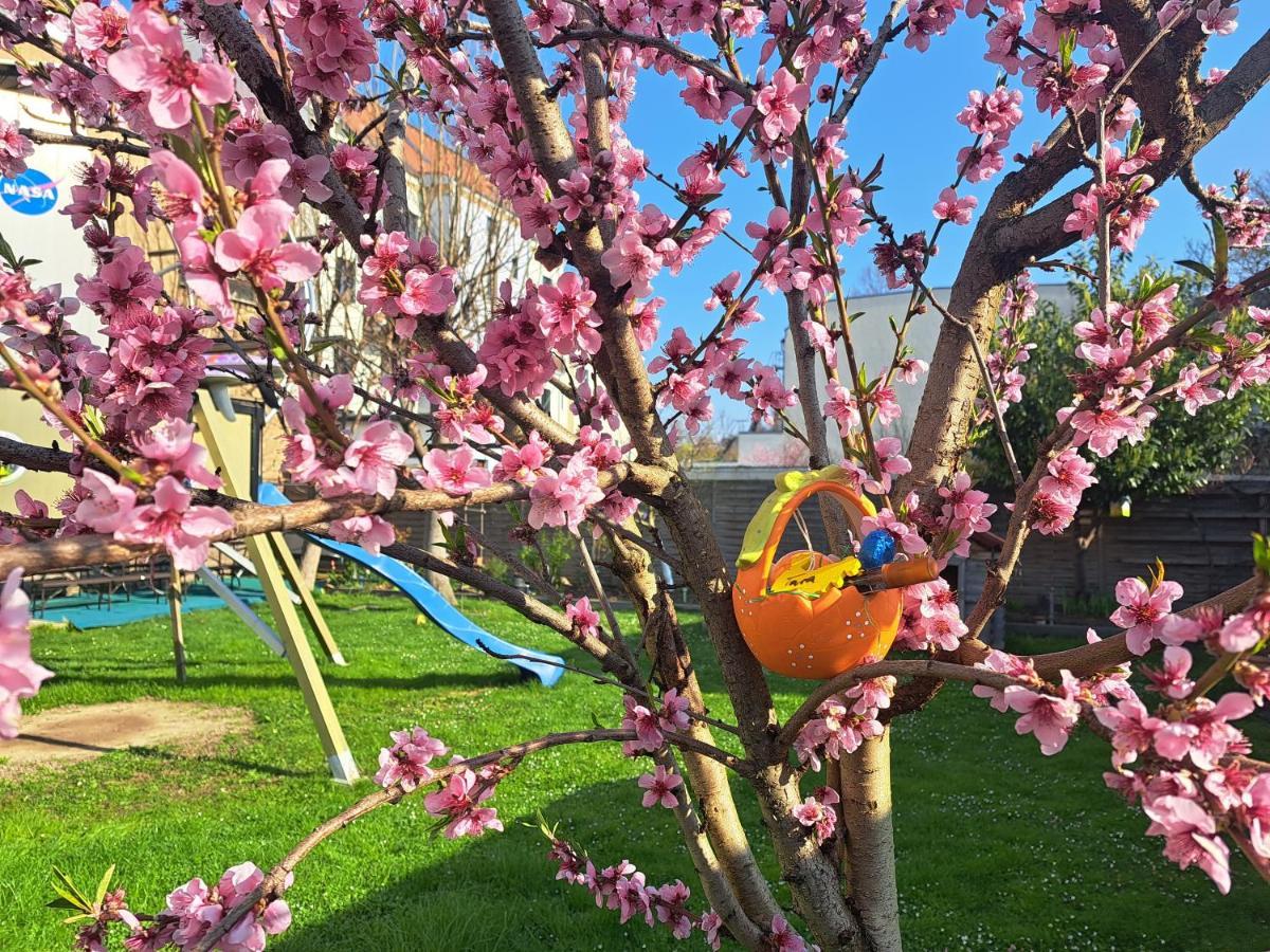 Space Im Campus Der Jvp Schule Lejlighedshotel *